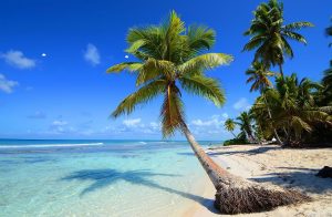 Отдых в кредит